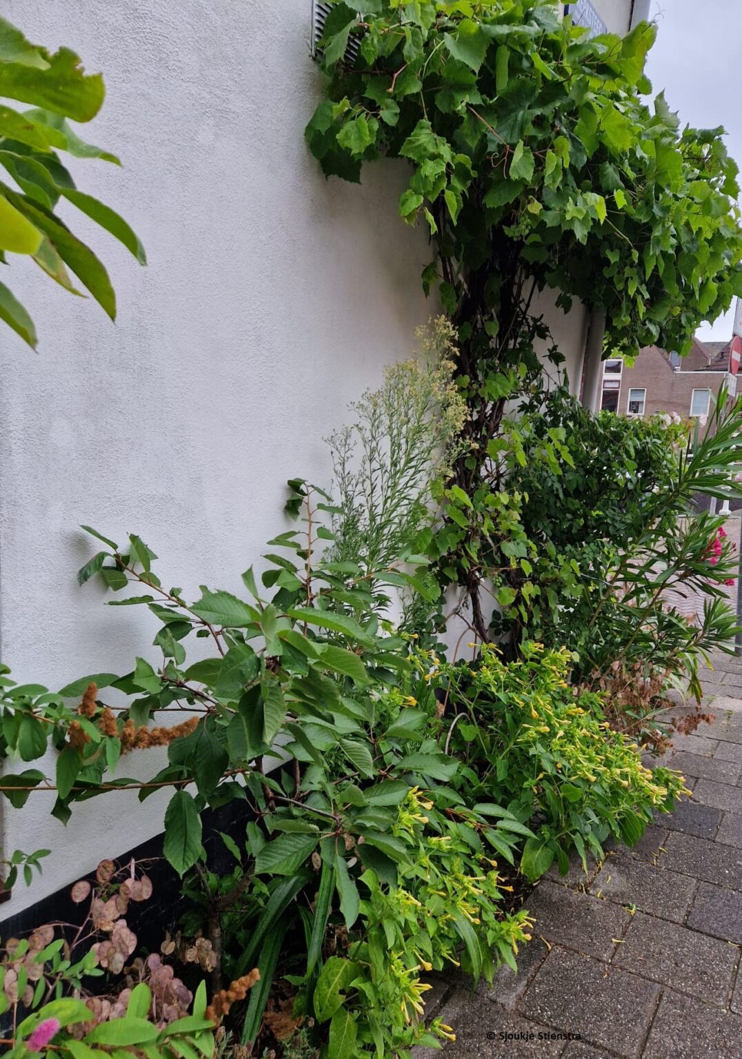 Huurder dag op 26 september 2024